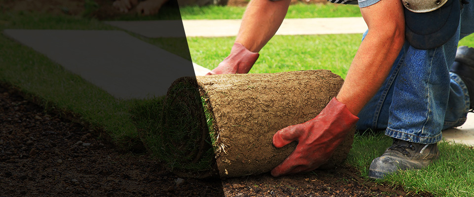 South Lyon Landscapers